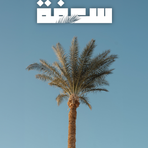 Palm Tree